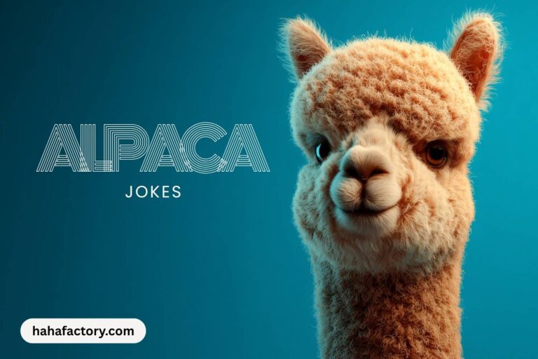 alpaca jokes