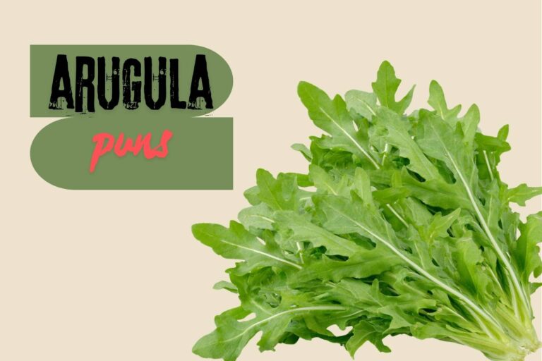 arugula puns