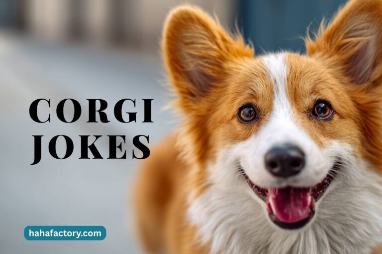 corgi jokes