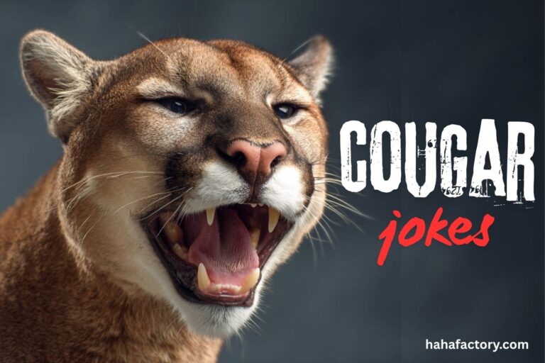 cougar jokes