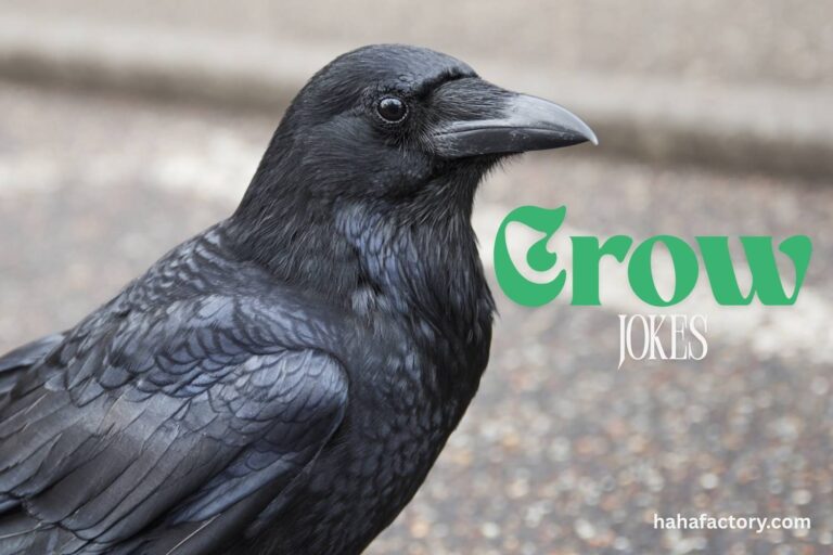 crow jokes