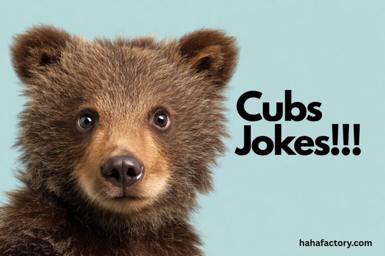 cubs jokes