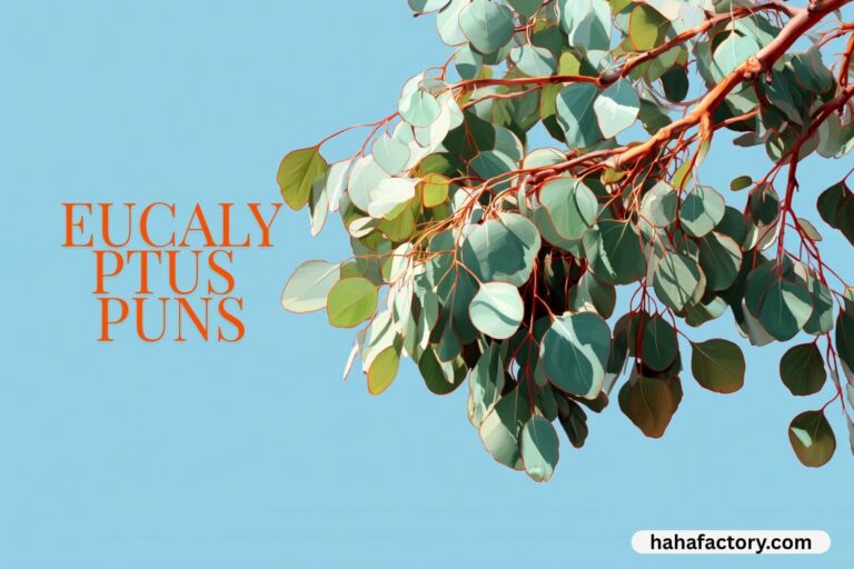 eucalyptus puns