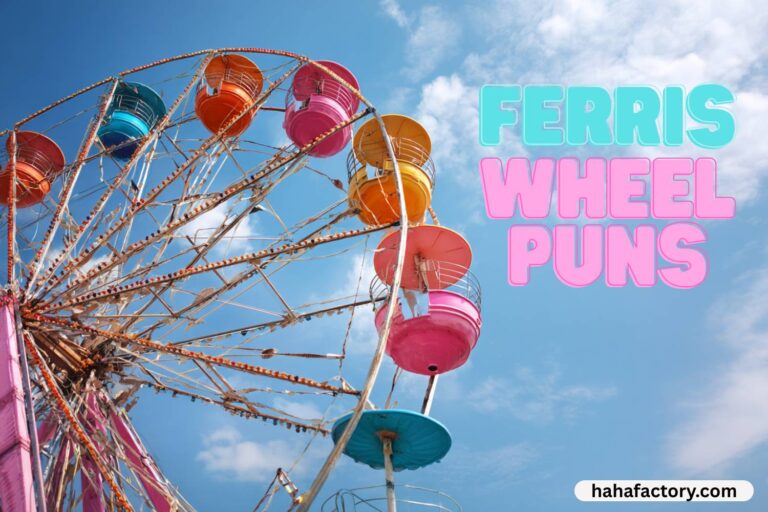 ferris wheel puns