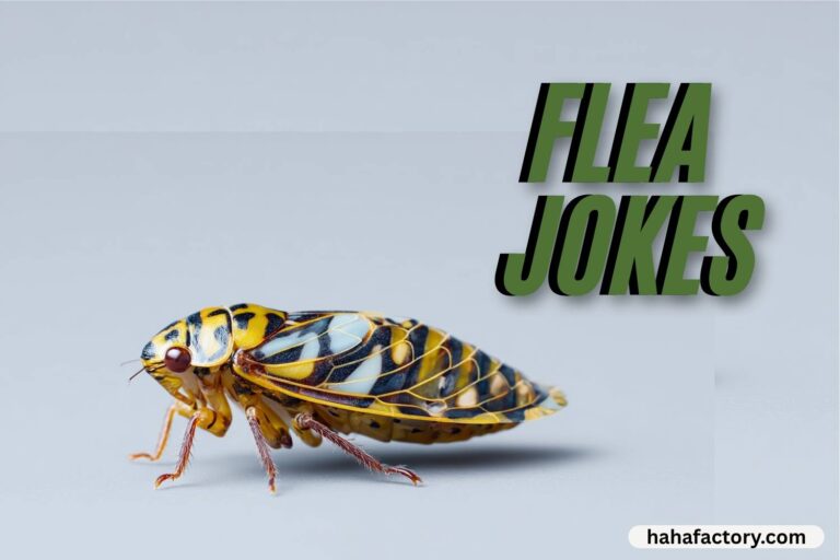 flea jokes