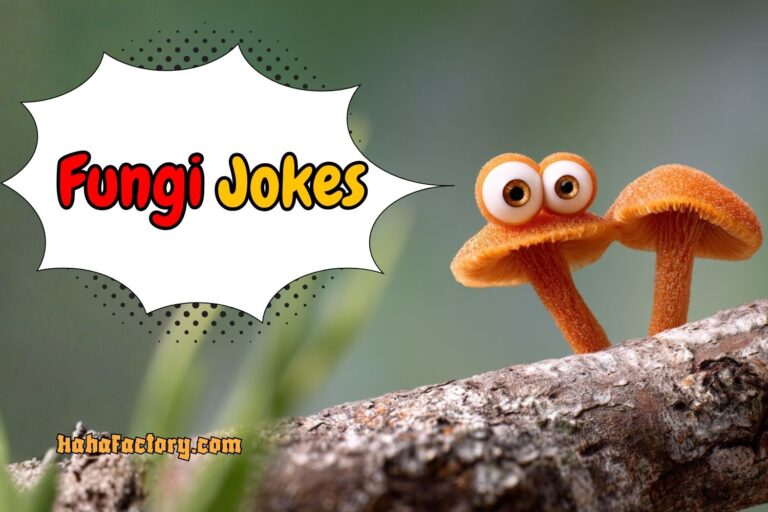 fungi jokes