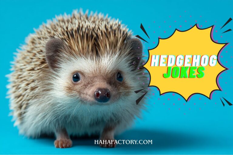 hedgehog jokes