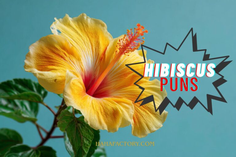 hibiscus puns