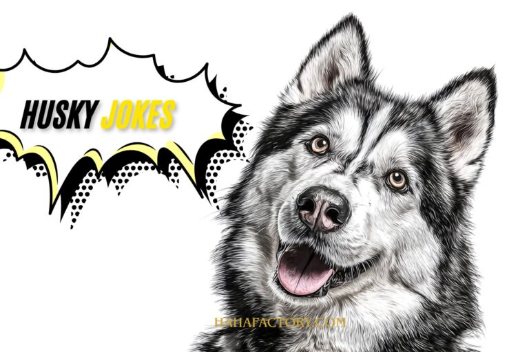 husky jokes