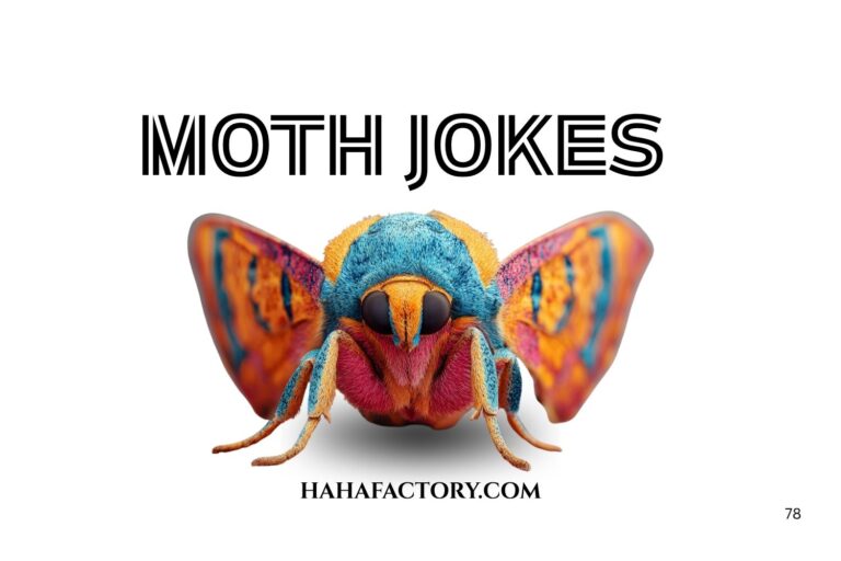 moth jokes