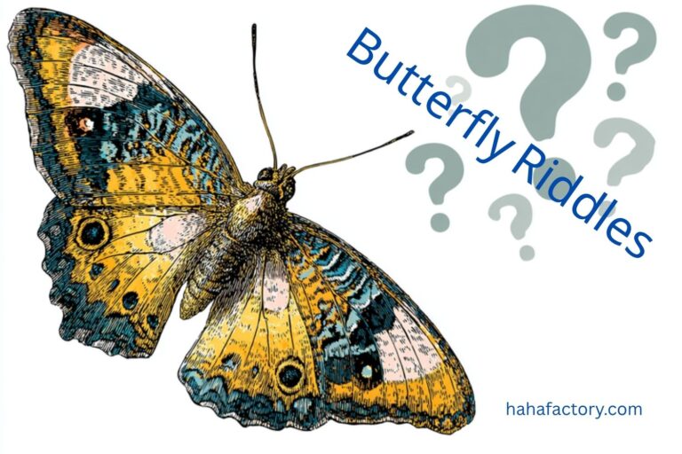 butterfly riddles