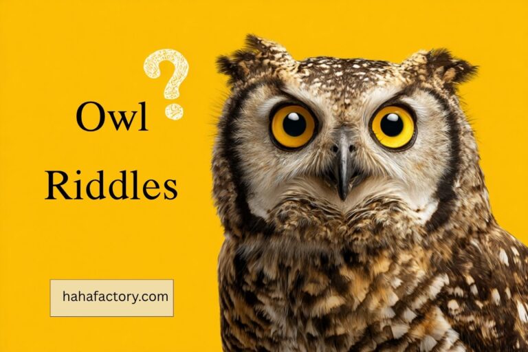owl riddles