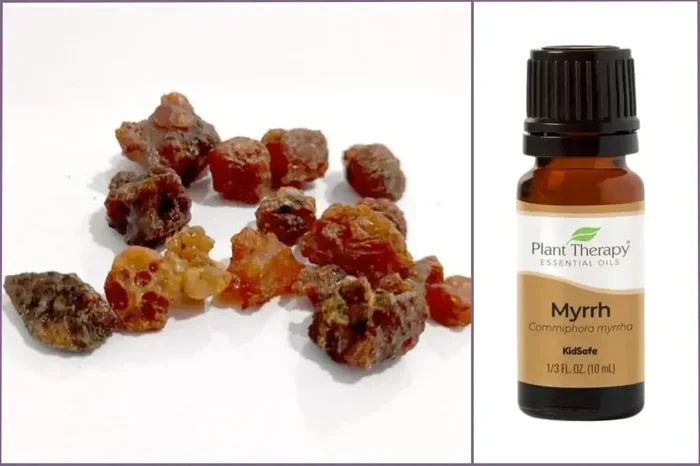 Discover the Meaning of Myrrh and Its Surprising Benefits