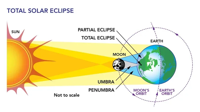 Umbra Meaning Explained Discover What Umbra Really Means